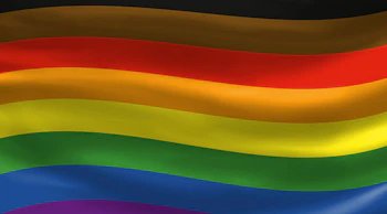 More Color More Pride flag